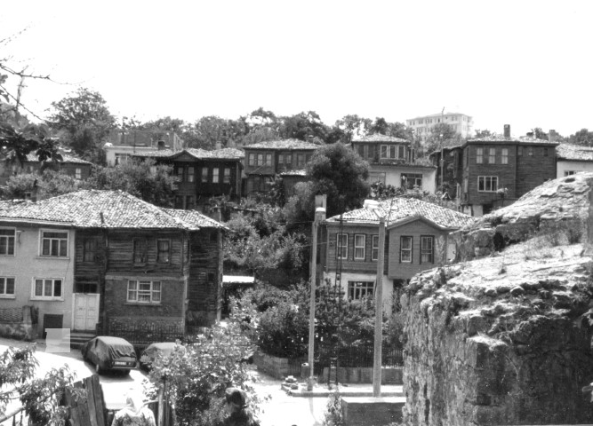 photo3.jpg